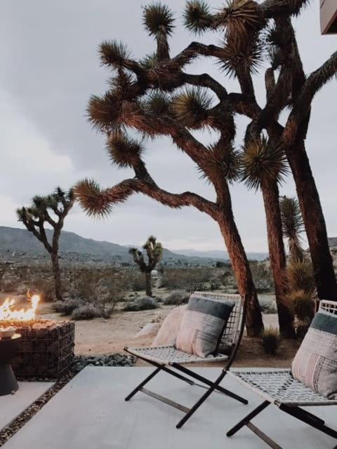 Shelter 1- A Classic- At Joshua Tree Park Entrance מראה חיצוני תמונה